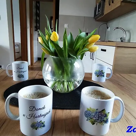 W Hortensjach Dağ evi