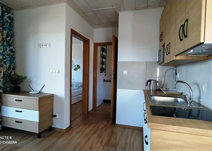 Chalet W Hortensjach *